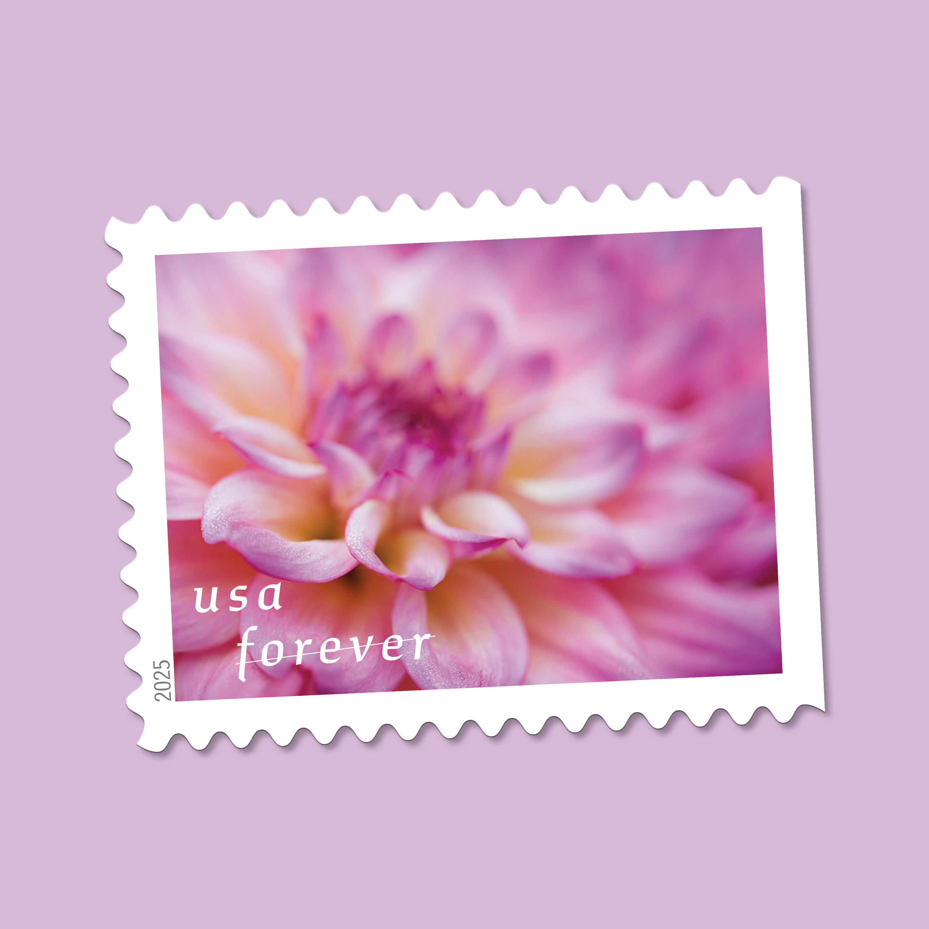 Floral Forever Stamps for spring mail and cards